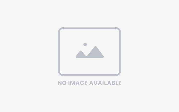 Leider kein Bild verfügbar